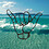 Shaka